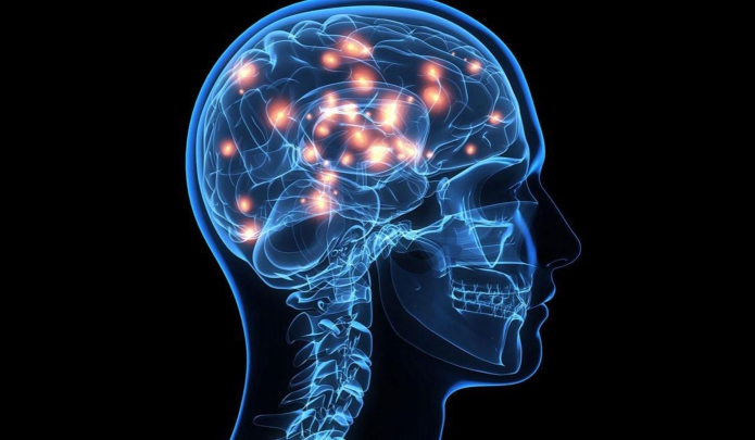 Neuroscience